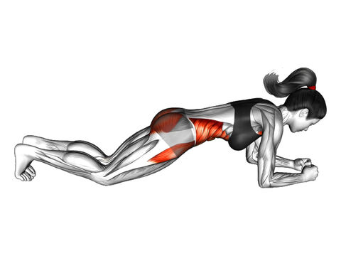 Plancha frontal